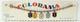 1960's Mega Rare Elvis Presley Colorama Salesmans Sample Metal Kiddie Bracelet