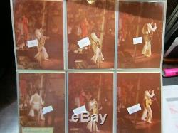 285 Rare ORIGINAL Photos of Elvis Presley In Concert BY TOM LOOMIS