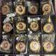 Bradford Exchange Elvis Presley Christmas Ornament Lot Of 12 With Certificate Rare
