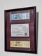 Elvis Presley Canceled Unused Concert Tickets Sept 1977 Framed With Coa Rare