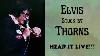 Elvis Gets Stuck By Thorns Elvis Back On Tour