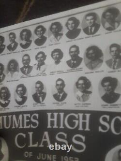 Elvis Presley 1953 High School Class Photo S 1950s Rare Vintage Elvis