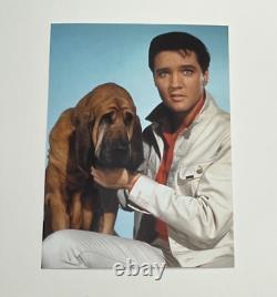 Elvis Presley Authentic Photo Rare Publicity Photo Shoot Sessions Stamped Jat