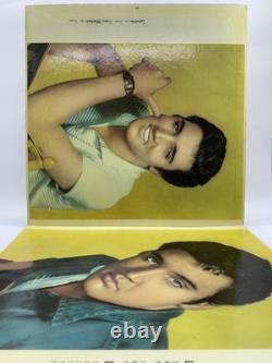 Elvis Presley Christmas Album Lp Vinyl 1960 RCA Victor Mono Rare Unique Brazil