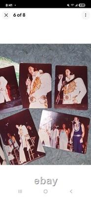 Elvis Presley Last Concert Indianapolis Pics Rare Authentic! Vintage Withsun Outfi