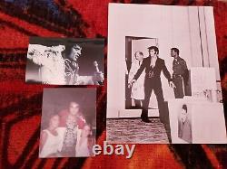 Elvis Presley Painting From Elvis Rare Excellent Condition