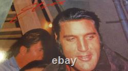 Elvis Presley RARE Yesterday/Today LP withUndubbed VERSIONS, PREVIEW COPY, BLIKO