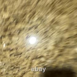 Elvis Presley Rare Vintage Animated Lamp, Dances & Sings hound Dog, ? Cpix Nice