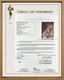 Elvis Presley Rare Vintage 16x20 Canvas Letter In A Custom Frame