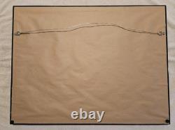 Elvis Presley Rock N' Roll No. 1 Rare WHITE Album In Frame -Record Free Ship