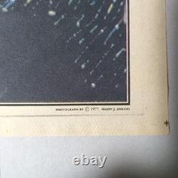 Elvis Presley Vintage 1977 Rolling Stone Music Magazine Clipping Rare