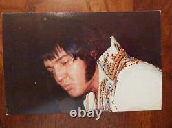 Elvis Presley rare Charlie Hodge signed vintage post card