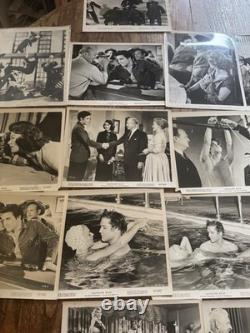 Huge Lot Elvis Presley Jailhouse Rock 1957 Rare Original 8x10 Photo Promo
