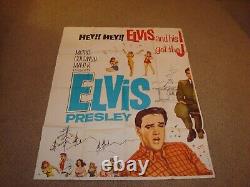 KISSIN COUSINS 6 SHEET MOVIE POSTER USA RARE ORIGINAL 81 x 81 ELVIS PRESLEY 1964