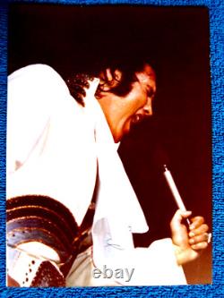 Rare? 1974? Elvis Presley? Fort Worth Texas? Concert Photo? Coa Authenticity