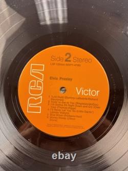 Record LP rare Elvis Presley orange Label RCA Victor Self titled NM
