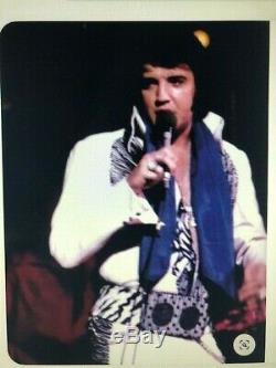 Very Rare Elvis Presley Concert Navy Scarf Jackson, Mississippi June 9, 1975