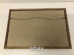 Vintage Elvis Presley Confederate Dukes Of Hazzard Mirror VERY RARE