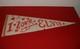 Vintage Rare Elvis Presley 1960's Pennant